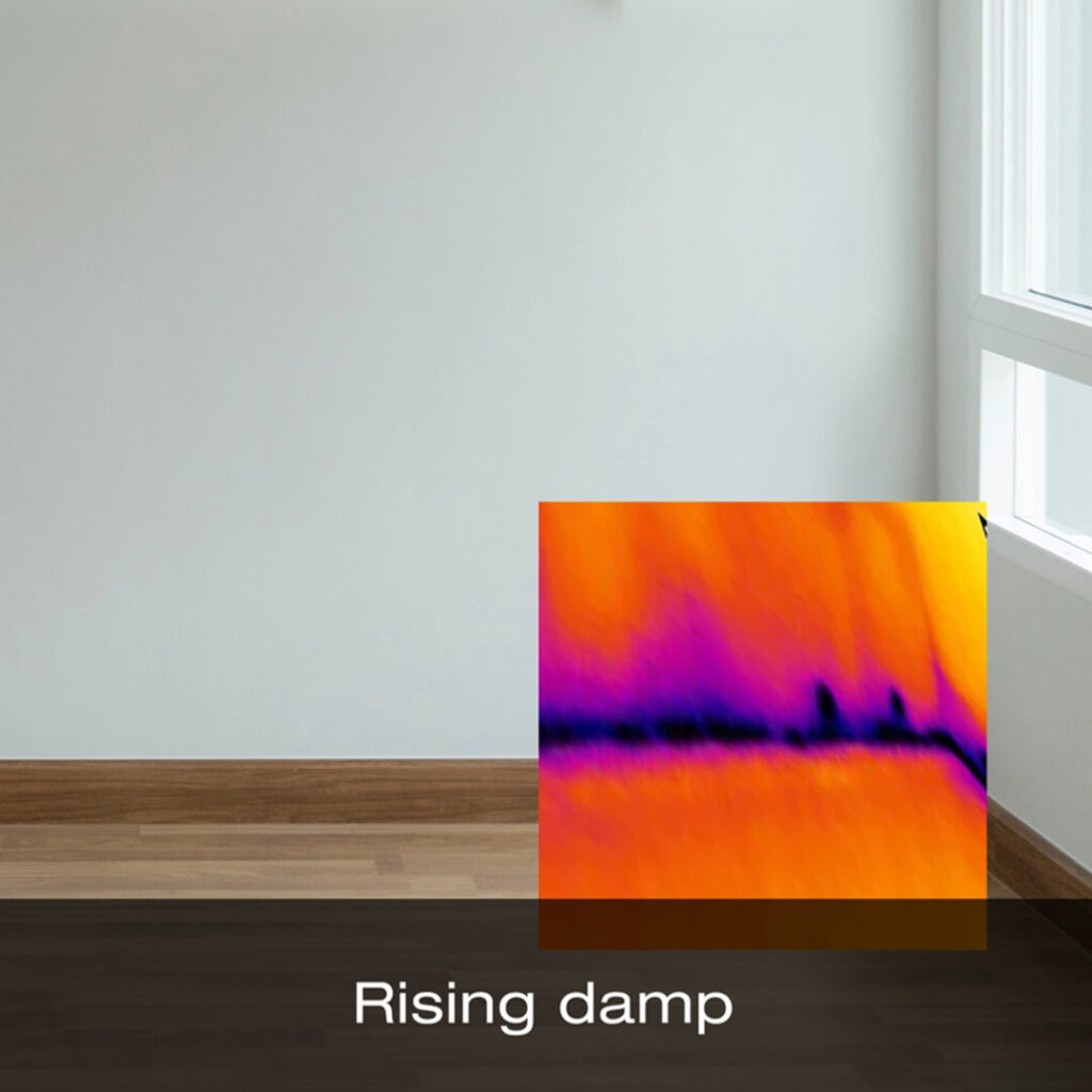 An image the corner of a white room. A smaller thermal image on the right of the picture shows rising damp along the bottom corner of the room. The label at the bottom of the image reads "rising damp". 